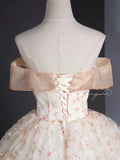 Ndyad Off Shoulder Tulle Lace Champagne Long Prom Dress, Champagne Formal Dress HZ1024