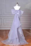 Ndyad Mermaid Spaghetti Straps Tulle Sequin Long Proml Dress, Formal Party Dress HZ1024