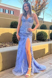 Ndyad Mermaid Lace Long Prom Dress, Purple Formal Evening Dress HZ1024
