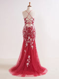 Ndyad V Neck Long Prom Dress with Appliques Beading HZ1024