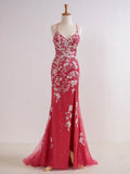 Ndyad V Neck Long Prom Dress with Appliques Beading HZ1024