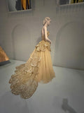 Ndyad A-line Strapless Tulle Sequined Long Ball Gown HZ1024
