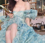 Evafashion A-Line off-shoulder organza print Long Prom Dress Birthday Adult Ceremony Dress HZ1024