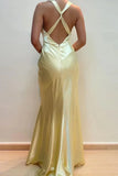 Ndyad Sheath V Neck Yellow Long Backless Prom Dress Sleeveless Party Dress HZ1024