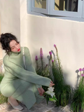 Ndyad turtleneck two-piece knitted sweater dress HZ1024
