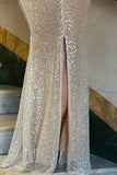 Ndyad Champagne Sheath Spaghetti Straps Mermaid Sequins Long Prom Dress for Party&Special Events HZ1024