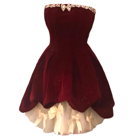 Ndyad Red Velvet A-Line Strapless Homecoming Dress Tulle Two-Piece Short Prom Dresses with Bow HZ1024