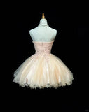 Ndyad Sweetheart Neck A-Line Tulle Lace Short Prom Dress Homecoming Dress HZ1024