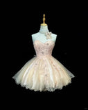 Ndyad Sweetheart Neck A-Line Tulle Lace Short Prom Dress Homecoming Dress HZ1024