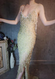 Ndyad Spaghetti Straps Sheath Beaded Chiffon Long Prom Dresses Elegant Formal Evening Gowns with 3D Appliques HZ1024
