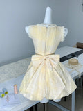 Ndyad Yellow A-Line V-Neck Lace Tulle Short Party Dress Birthday Dress HZ1024