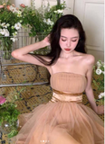 Ndyad Champagne Graduation Dress Elegant A-Line Short Birthday Dress Party Dress HZ1024