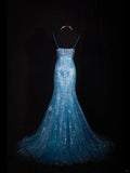 Ndyad Blue Halter Mermaid Evening Dress Elegant Tulle Lace Long Prom Dress Party Dress HZ1024
