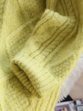 Ndyad V-neck thickened cable knit sweater HZ1024