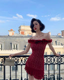 Ndyad Bodycon Burgundy Birthday Dresses, Lace Homecoming Dresses, Off-the-shoulder Short Prom Dresses HZ1024