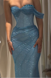 Ndyad Sweetheart Sheath Long Prom Dresses Mesh Blue Evening Dresses HZ1024