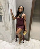 Ndyad Off-the-shoulder Tight Homecoming Dresses, Grape Short Prom Dresses, Lace Birthday Dresses HZ1024