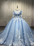 Ndyad Style Ball Gown Tulle Long Prom Dresses Appliqu¨¦ Beading Light Blue Quinceanera Dresses Sweet 16 Dresses HZ1024
