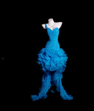 Ndyad One Shoulder Sheath Blue Hi-lo Prom Dresses Tulle Blue Evening Dresses HZ1024