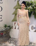 Ndyad Sheath Long Prom Dresses Tulle Sequin Champagne Wedding Guest Dresses HZ1024