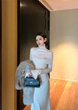 Ndyad Temperament trumpet sleeve high collar dress + neck cape HZ1024