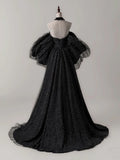 Evafashion A- Line Tulle Long Prom Dress, Black Long Formal Dress HZ1024
