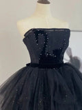 Ndyad Tulle Black Long Prom Dress, Black Formal Evening Dress HZ1024