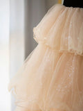 Ndyad Tulle Long Prom Dress, Champagne Formal Evening Dress HZ1024