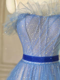 Ndyad Tulle Blue Long Prom Dresses, Blue Tulle Formal Dresses HZ1024