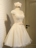 Ndyad A-line tulle lace embroidered homecoming dress, champagne bridesmaid dress HZ1024