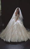 Ndyad White Ball Gown Tulle Wedding Dress Applique Strapless Bridal Gown with Veil HZ1024